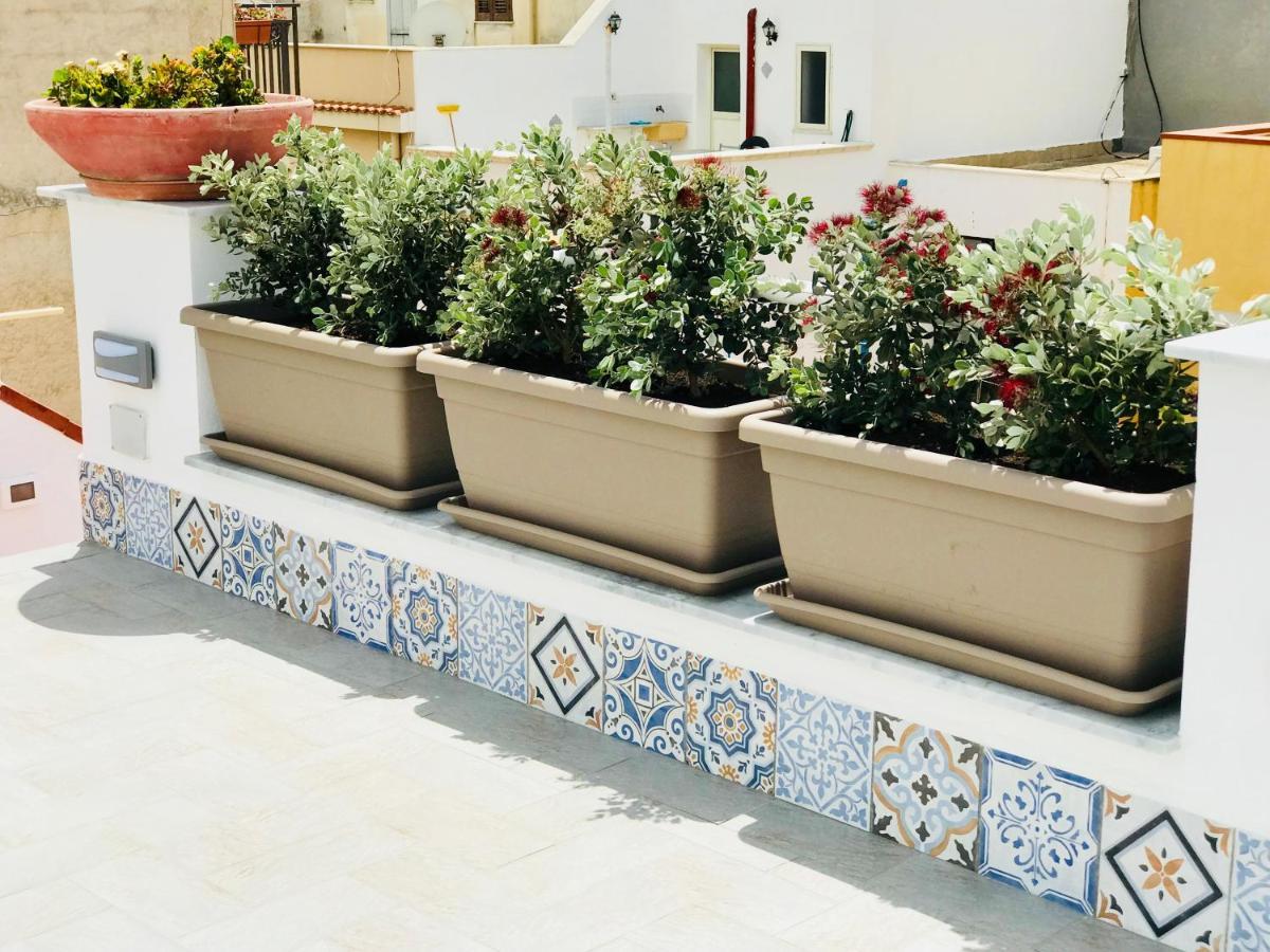 Ferienwohnung Fiori D'Arancio Terrasini Exterior foto